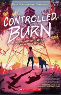 Image of Controlled burn