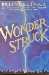 Image of Wonderstruck: A Novel in Words and Pictures